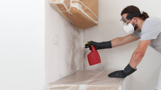 Professional Attic Mold Remediation technician working in Fredericksburg, VA