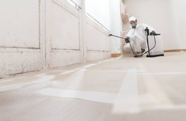 24/7 Emergency Attic Mold Remediation experts in Fredericksburg, VA